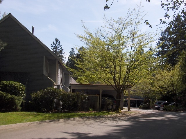 8120 - 8226 Forest Grove Drive, Forest Hills - Image
