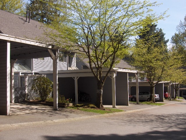 8120 - 8226 Forest Grove Drive, Forest Hills - Image