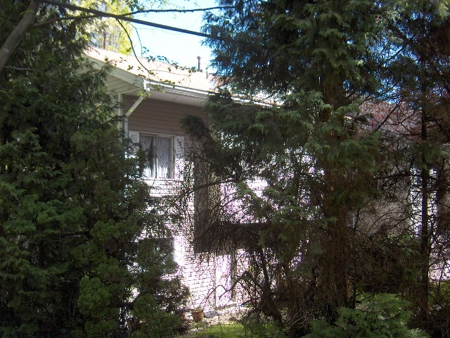 2004 - 2090 Springer Avenue, Brentwood - Image