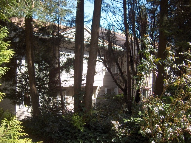 2004 - 2090 Springer Avenue, Brentwood - Image