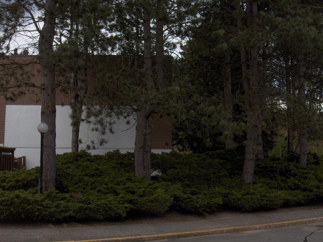 7301 - 7386 Coronado Drive, Montecito - Image